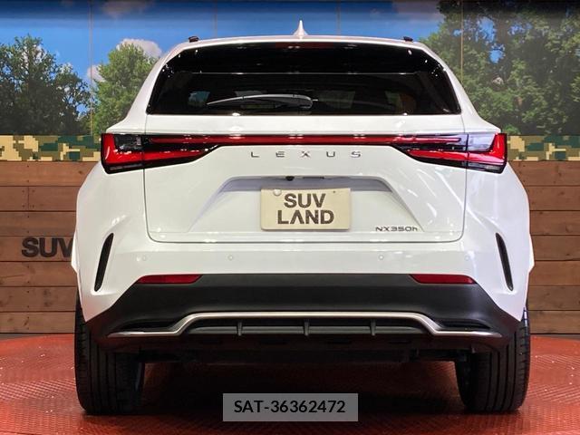 Lexus NX 2025-02 8549154-13