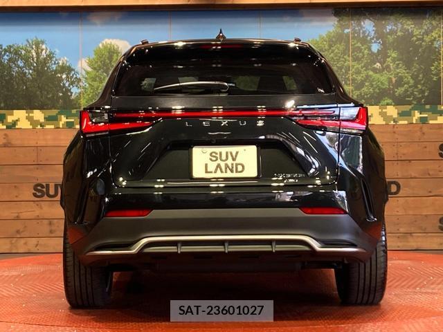 Lexus NX 2024-02 8549157-14