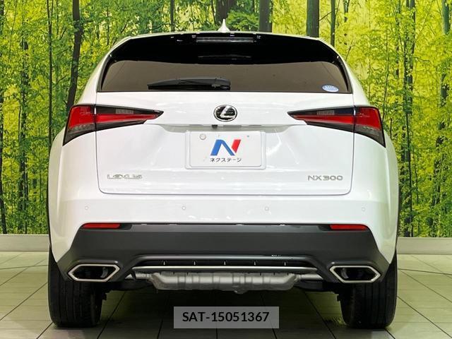 Lexus NX 2018-10 8549209-14