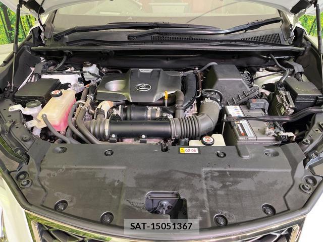 Lexus NX 2018-10 8549209-17