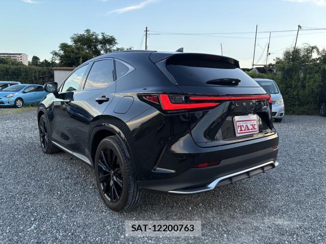 Lexus NX 2023-08 8549289-10