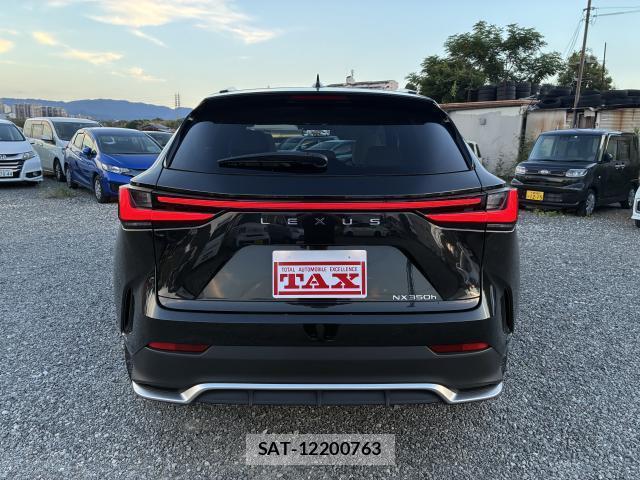 Lexus NX 2023-08 8549289-11