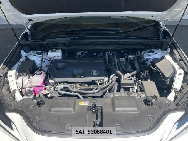 Lexus NX 2025-07 8549820-18