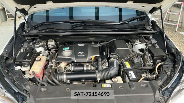 Lexus NX 2020-02 8550240-7