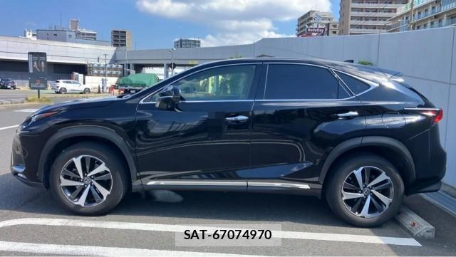 Lexus NX 2018-03 8550365-10