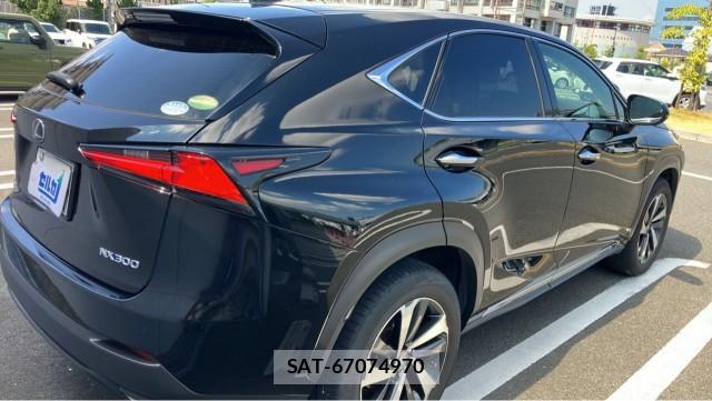 Lexus NX 2018-03 8550365-12