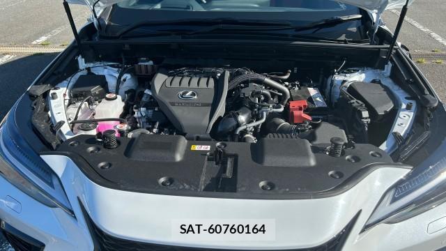 Lexus NX 2022-08 8550410-6