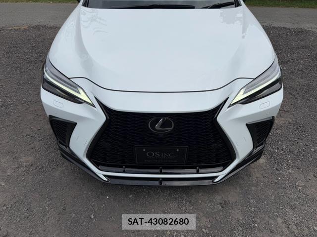 Lexus NX 2023-11 8551639-12
