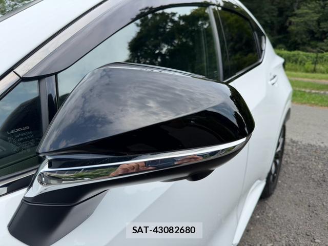 Lexus NX 2023-11 8551639-8