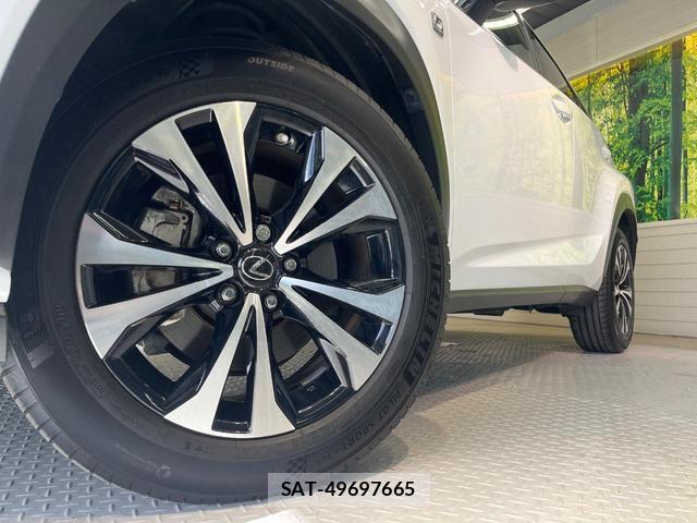 Lexus NX 2018-02 8551706-12