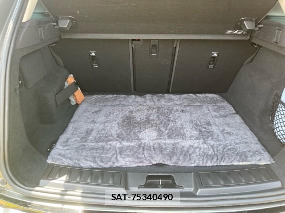 Land Rover RANGE ROVER EVOQUE 2020-10 8550405-17