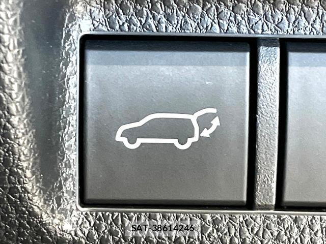 Toyota RAV4 2024-08 8546347-6