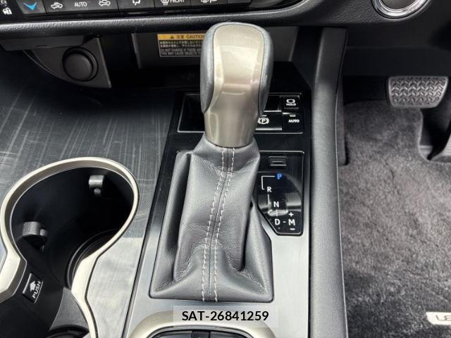Lexus RX 2015-11 8545715-17