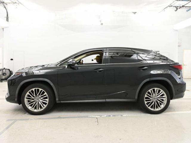 Lexus RX 2021-07 8545866-7