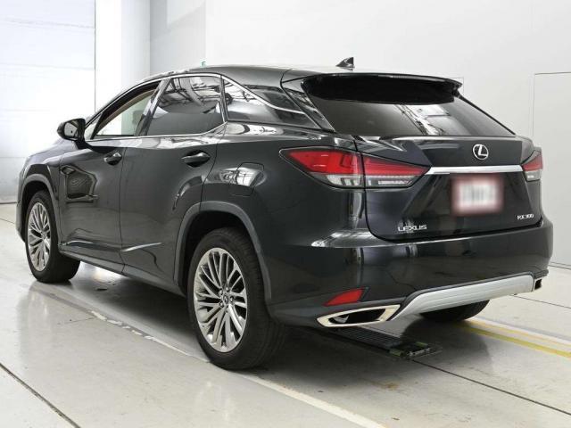 Lexus RX 2021-07 8545866-8