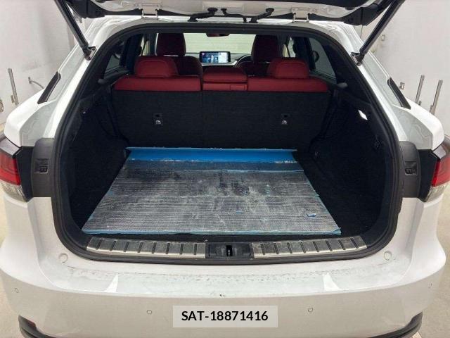 Lexus RX 2021-06 8547924-6