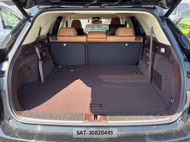 Lexus RX 2018-08 8547926-8