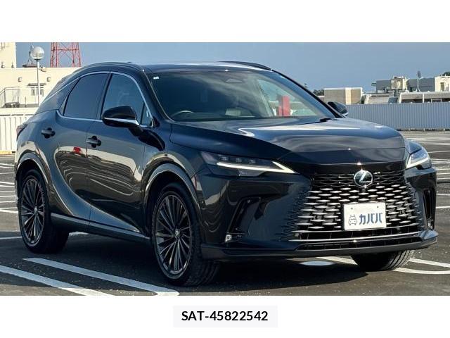 Lexus RX 2024-10 8548794-16
