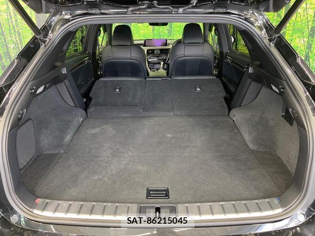 Lexus RX 2017-10 8549966-9