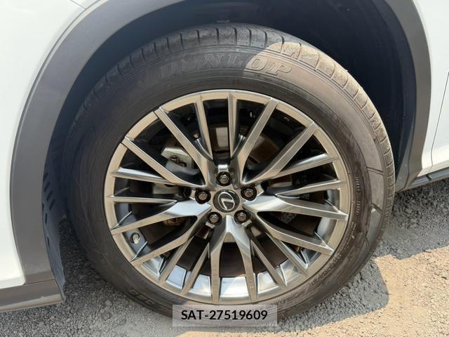 Lexus RX 2021-09 8551625-7