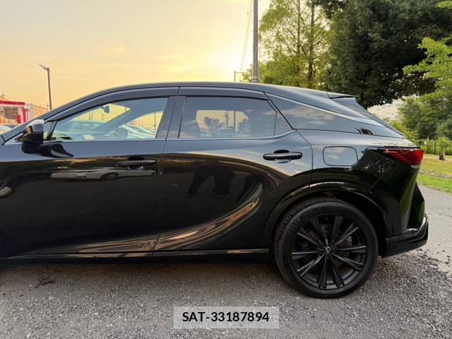 Lexus RX 2024-06 8551633-10