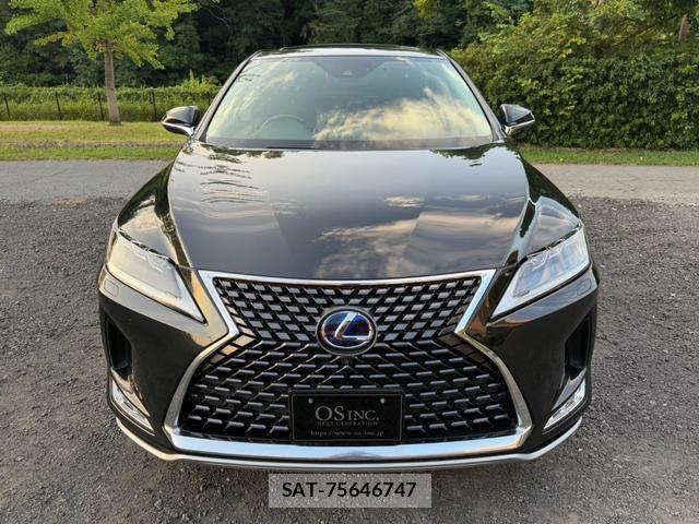 Lexus RX 2021-06 8551636-14