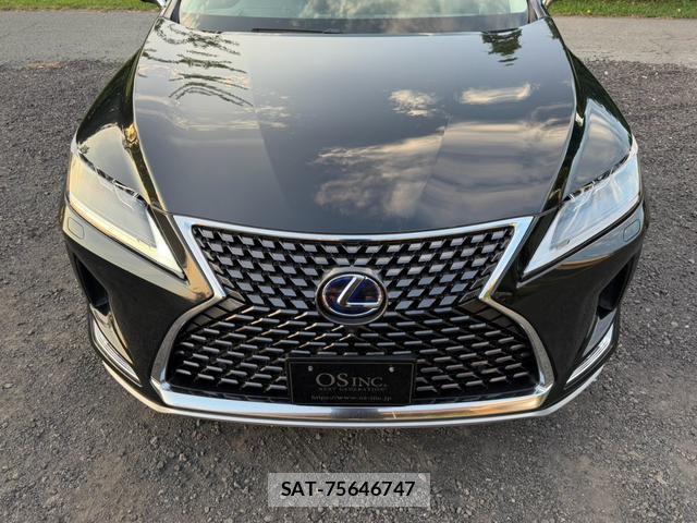 Lexus RX 2021-06 8551636-3