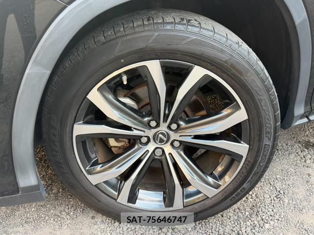 Lexus RX 2021-06 8551636-7
