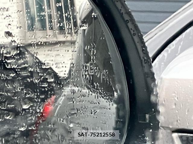 VolksWagen SHARAN 2021-06 8547620-8