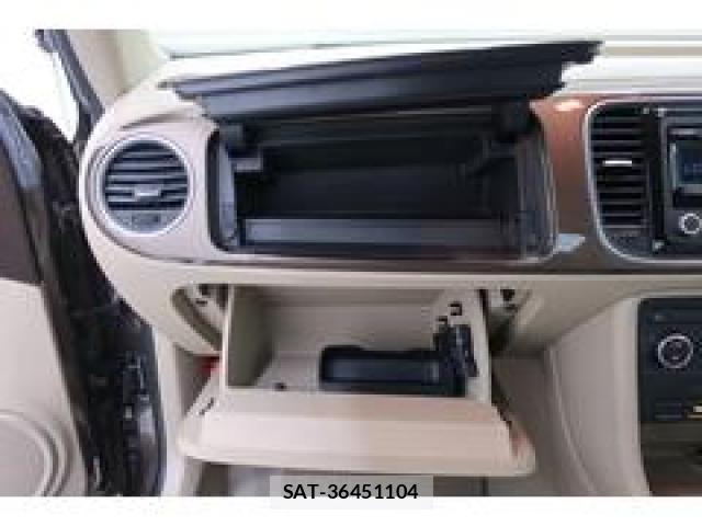 VolksWagen THE BEETLE 2014-02 8545505-13