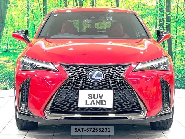 Lexus UX 2018-12 8547119-12