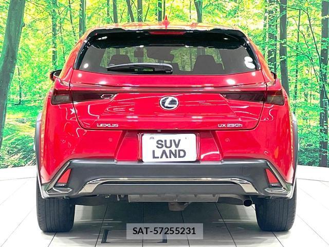 Lexus UX 2018-12 8547119-13
