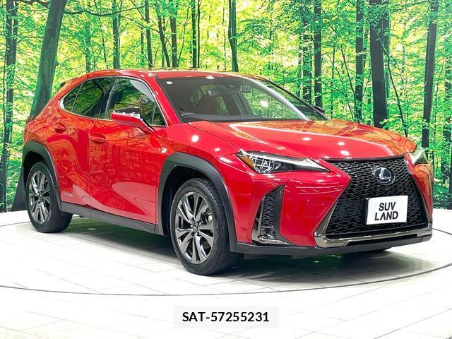 Lexus UX 2018-12 8547119-14