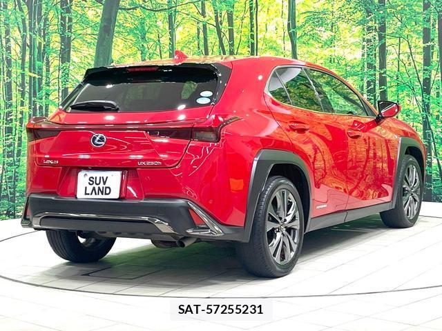 Lexus UX 2018-12 8547119-15