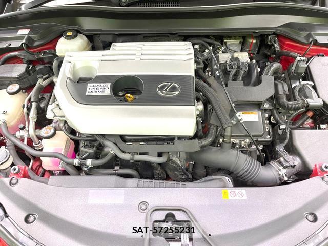Lexus UX 2018-12 8547119-16