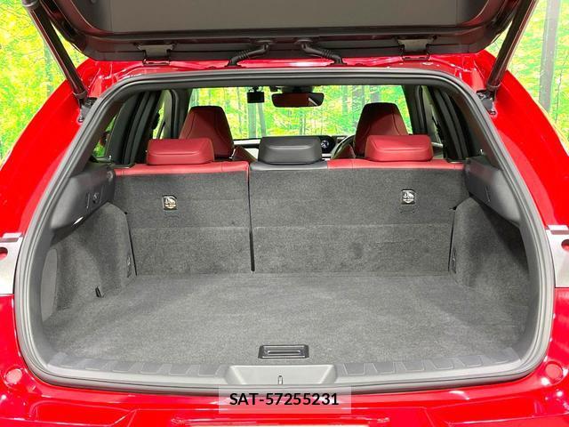 Lexus UX 2018-12 8547119-8