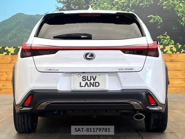 Lexus UX 2021-01 8548425-14