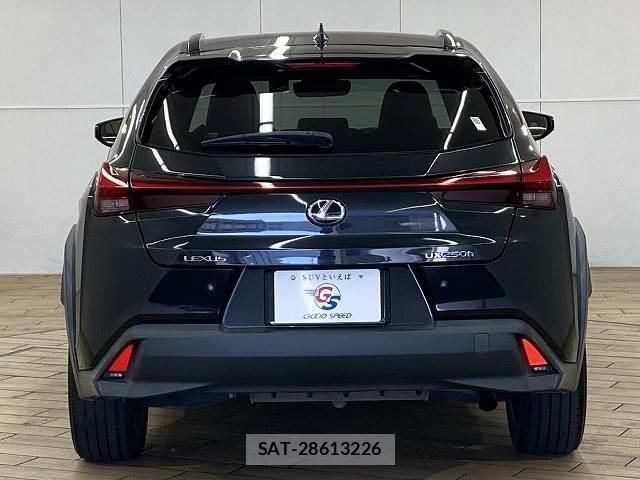 Lexus UX 2021-05 8549271-15