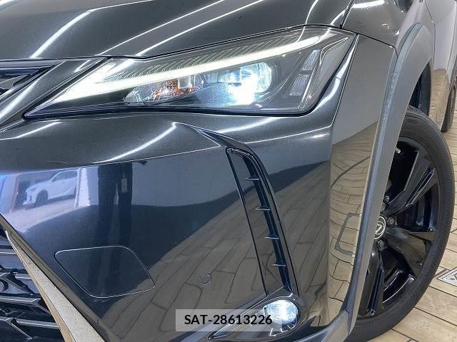 Lexus UX 2021-05 8549271-19