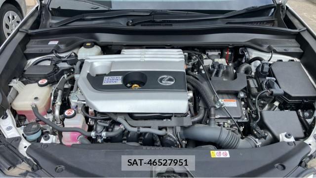 Lexus UX 2019-06 8550214-7