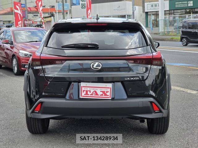 Lexus UX 2024-05 8550516-5