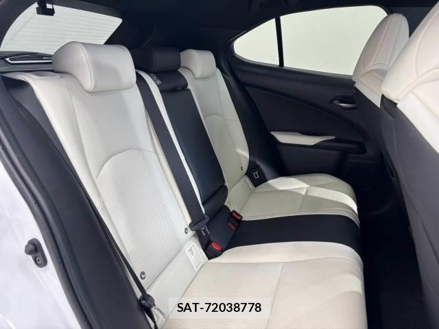 Lexus UX 2019-07 8552719-11