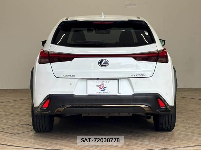 Lexus UX 2019-07 8552719-15