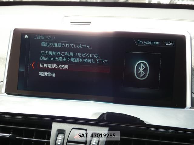 Bmw X1 2018-10 8550524-6