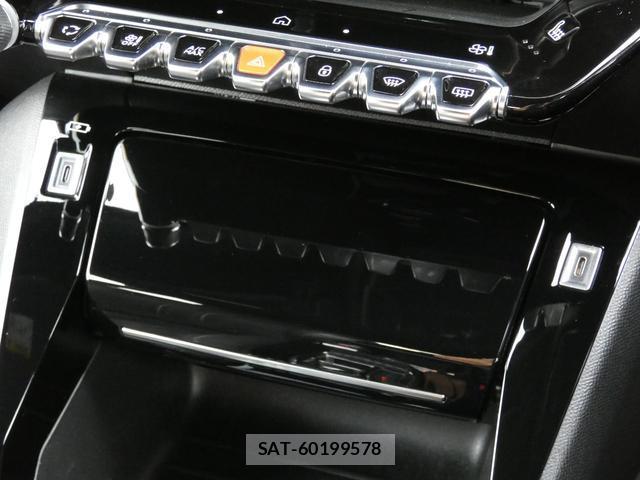 Peugeot 2008 2024-04 8648138-19