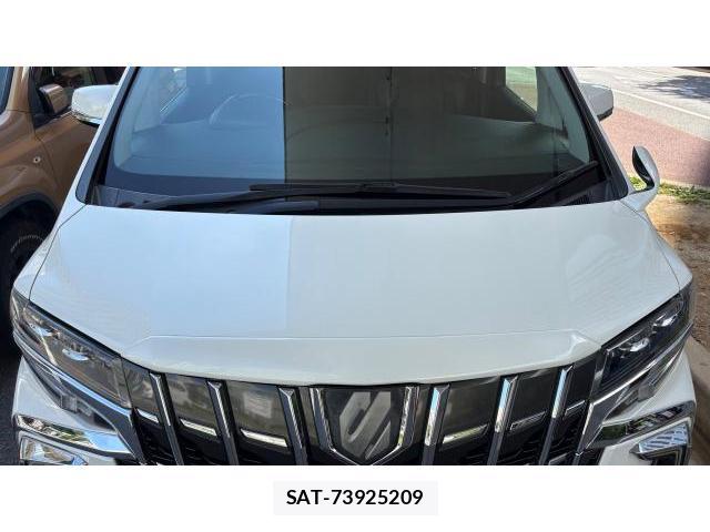Toyota ALPHARD 2018 8649622-17