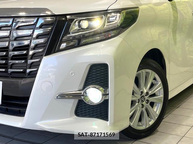 Toyota ALPHARD 2017-03 8649995-12