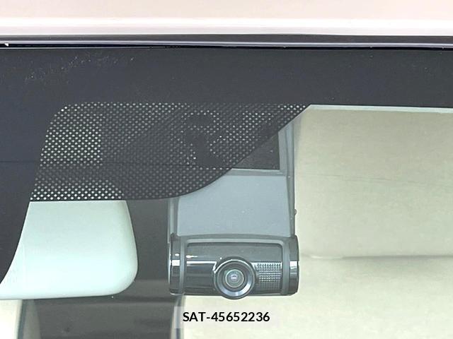 Suzuki LAPIN 2019-11 8647445-6