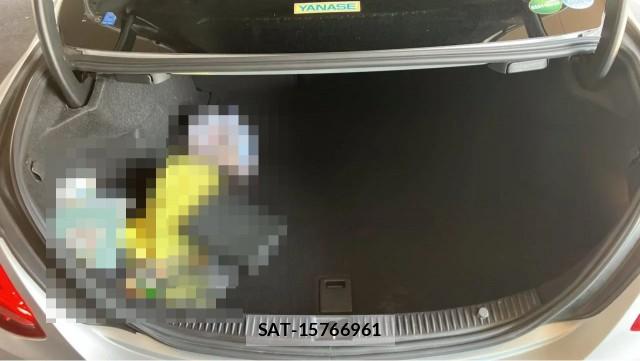 Mercedes Benz C-CLASS 2017-05 8651247-17