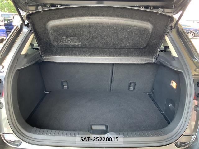 Mazda CX-3 2019-01 8648127-16
